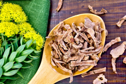 is-a-rhodiola-supplement-all-you-need-to-fight-off-stress?